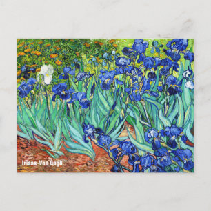 Carte Postale Irises De Vincent Van Gogh