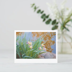 Carte Postale Irises jaunes et pourpres avec lumière dorée