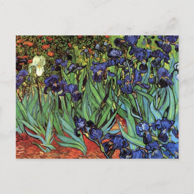 Carte Postale Irises par Vincent van Gogh (Devant)