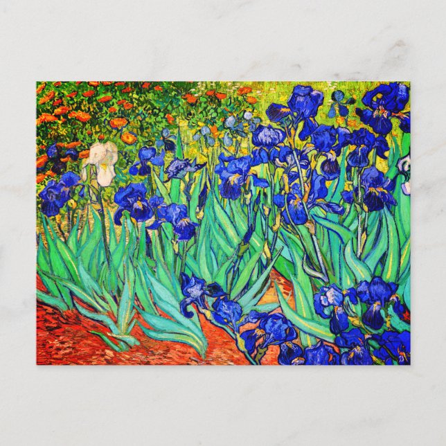 Carte Postale Irises par Vincent Van Gogh (Devant)