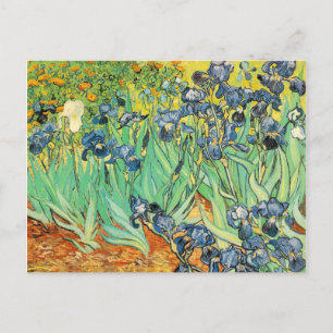 Carte Postale Irises - Van Gogh - c1889