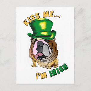 Carte postale Irish Bulldog