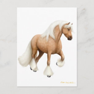Carte postale Irish Cob Horse