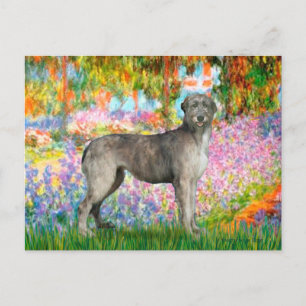 Carte Postale Irish Wolfhound 3 - Garden