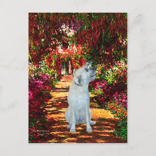 Carte Postale Irish Wolfhound 4 - La voie