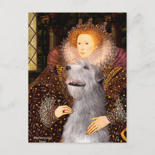 Carte Postale Irish Wolfhound 6 - Reine