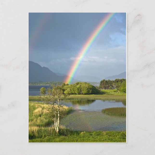 Carte postale irlandaise Rainbow (Devant)