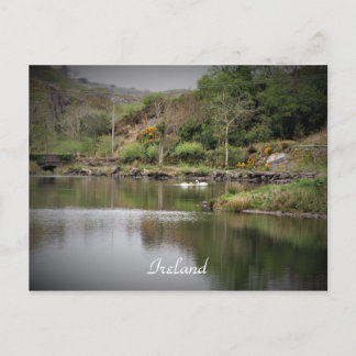 Carte Postale Irlande, Comté Cork, Lac, Cygnes, Photographie