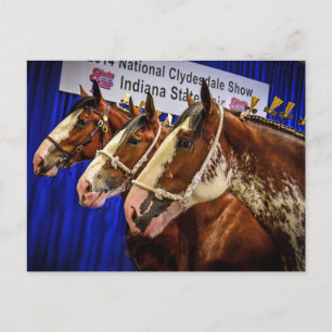 Carte Postale Iron Horse 3 Heads
