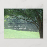 Isaiah 30:15 Quietness and confidence shall..