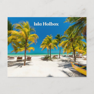 Carte Postale Isla Holbox Mexique Belle Plage avec Palmiers 