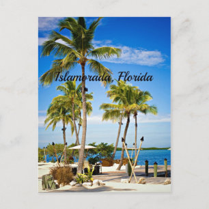 Carte Postale Islamorada, Floride Palmiers