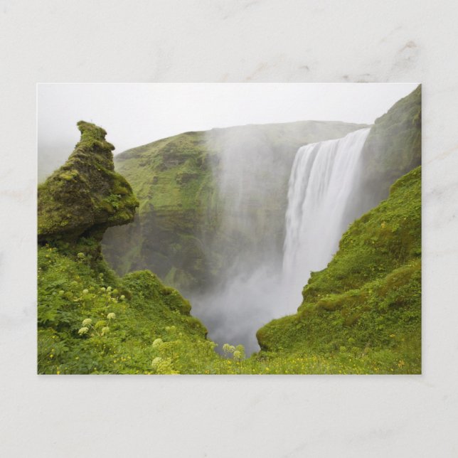 Carte Postale Islande. La cascade de Skogarfoss plonge sur une (Devant)