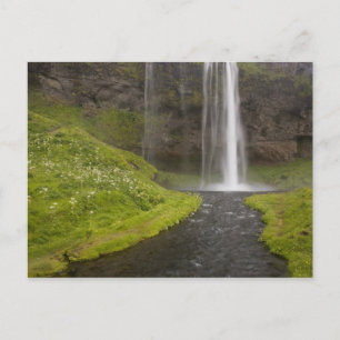 Carte Postale Islande. Personnes sur le sentier derrière Seljala