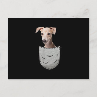 Carte Postale Italian Greyhound Whippet Chest Pocket For Dog Own