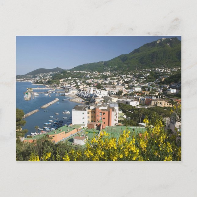 Carte Postale ITALIE, Campanie, (Baie de Naples), ISCHIE, LACCO (Devant)