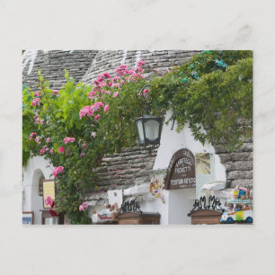 Carte Postale Italie, Pouilles, Alberobello, Terre des Trulli,