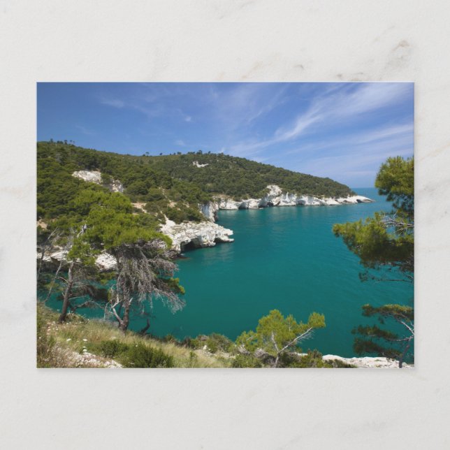 Carte Postale Italie, Pouilles, Promontorio del Gargano, Testa (Devant)