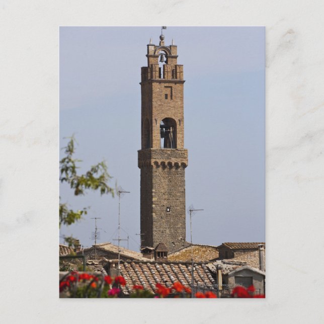 Carte Postale Italie. Toscane. Montalcino (Devant)