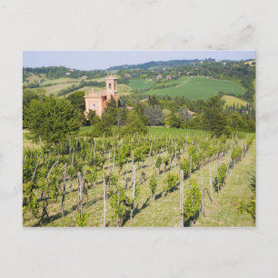 Carte Postale Italy, Bologna, View through Vineyard to Chiesa