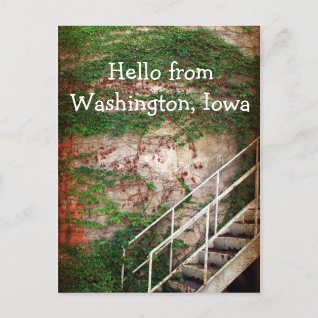 Carte Postale Ivy, Brick et Stairs (Devant)