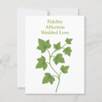 Ivy — Fidélité, affection, amour conjugal