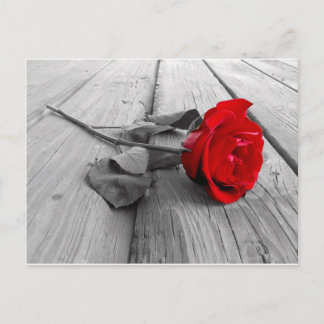 Carte Postale j0440294