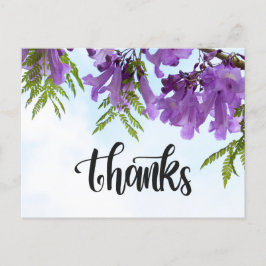 Carte Postale Jacaranda fleurs violettes fleurissant sur l'arbre