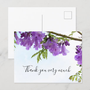 Carte Postale Jacaranda Purple Flowers Australie sur l'arbre   