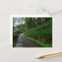 Jacinthes des bois sur Eastwood Lane