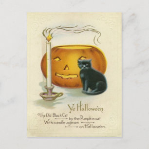 Carte Postale Jack O Lantern Black Cat Candle