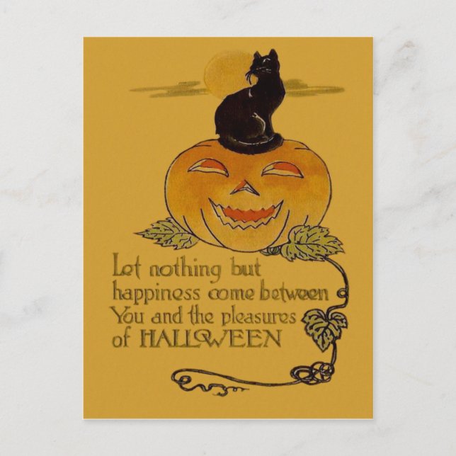 Carte Postale Jack-o'-lantern Citrouille souriant Black Cat Vine (Devant)