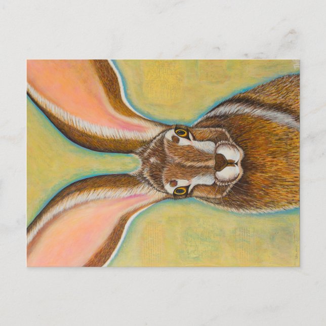 Carte Postale Jack Rabbit (Devant)