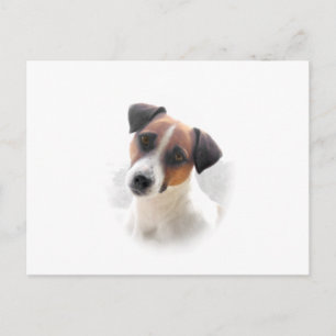 Carte postale Jack Russell