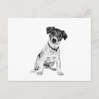 Carte Postale Jack Russell Terrier