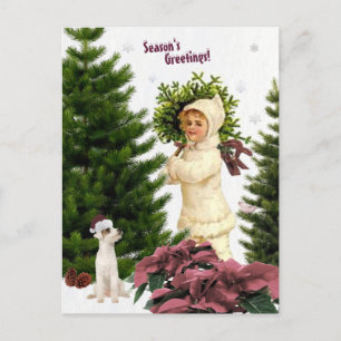 Carte postale Jack Russell vintage et Poinsettias 