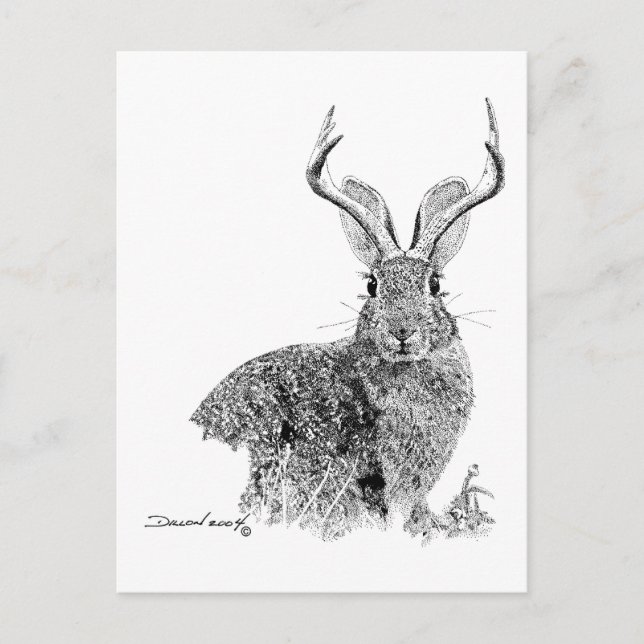 Carte Postale Jackalope (Devant)