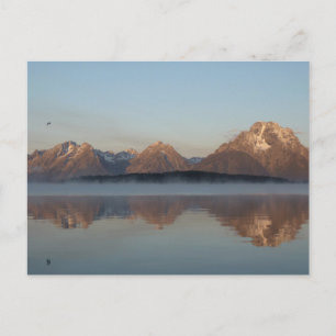 Carte Postale Jackson Lake Dam réflexion dans Grand Teton Park
