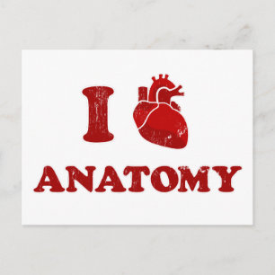 Carte Postale j'adore anatomy2
