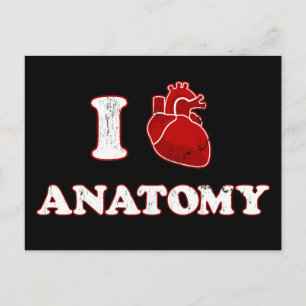 Carte Postale j'adore l'anatomie