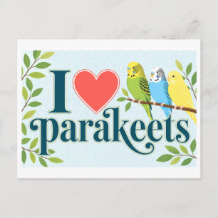 Carte Postale "J'adore les perruches"