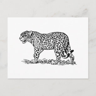 Carte Postale Jaguar