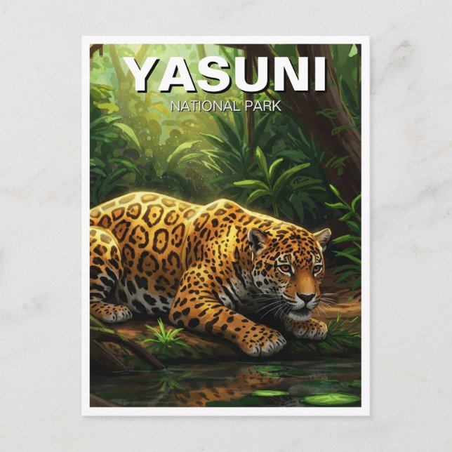 Carte Postale Jaguar dans le Parc national de Yasuni Equateur (Devant)