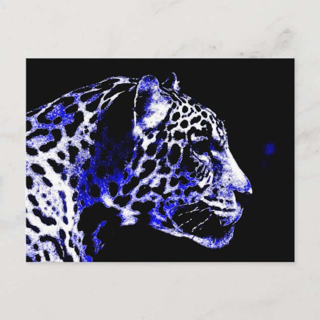 Carte Postale Jaguar de nuit (Devant)