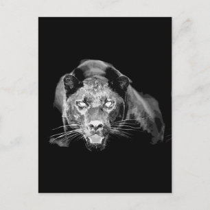 Carte Postale Jaguar noir et blanc - Chats sauvages
