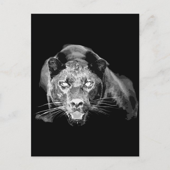 Carte postale Jaguar noir sauvage (Devant)