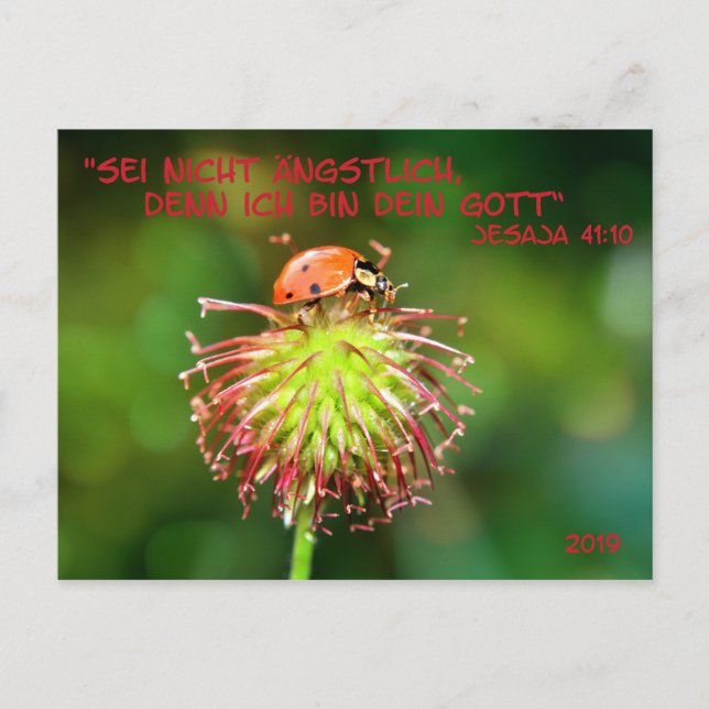 Carte Postale Jahrestext 2019 (Devant)
