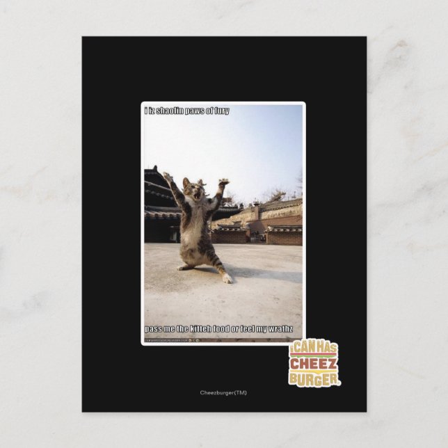 Carte Postale J'ai des pattes de shaolin de fureur (Devant)