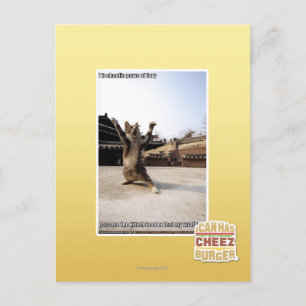 Carte Postale J'ai des pattes de shaolin de fureur
