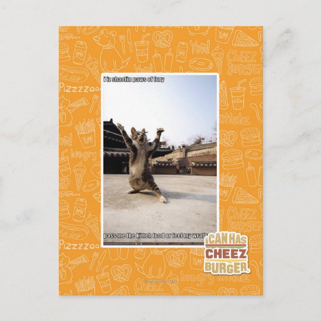 Carte Postale J'ai des pattes de shaolin de fureur (Devant)